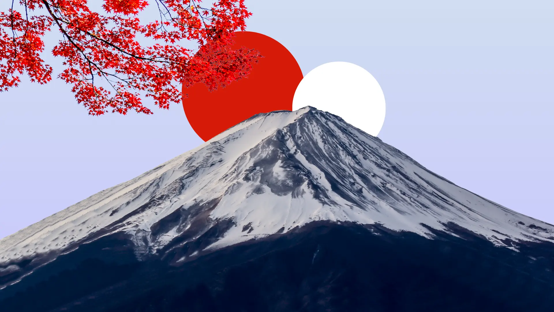 Study in Japan