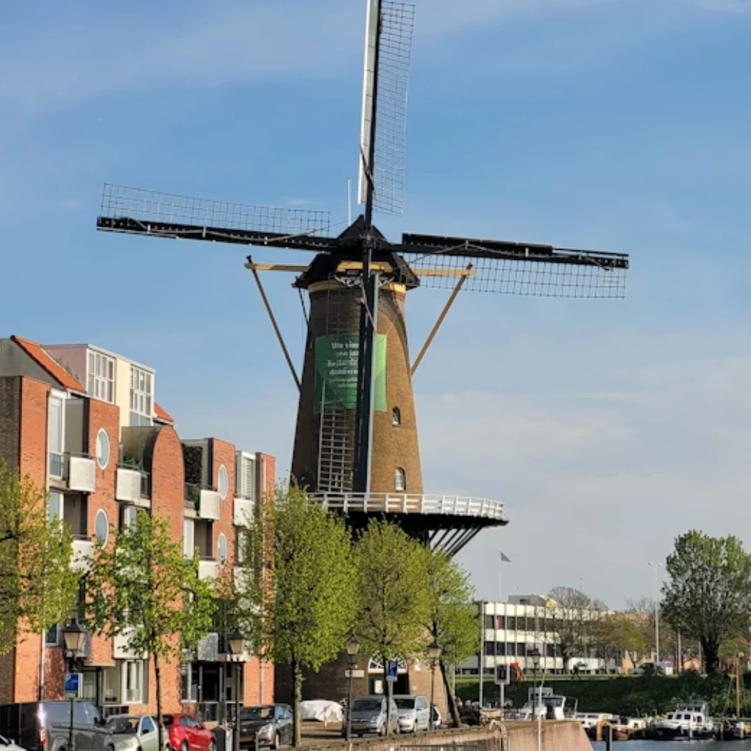 Study in Netherlands