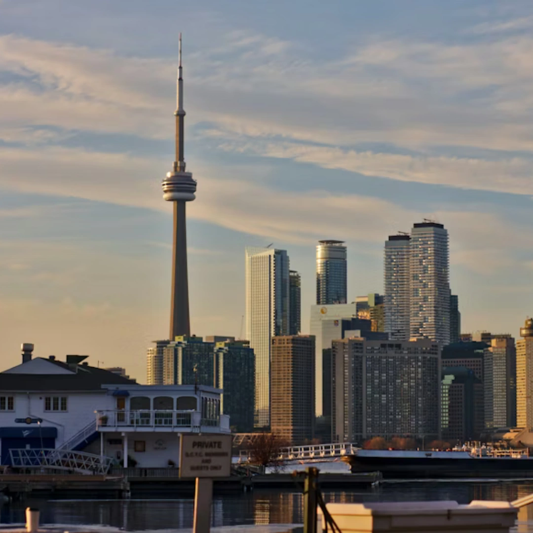 Study in New Zealand