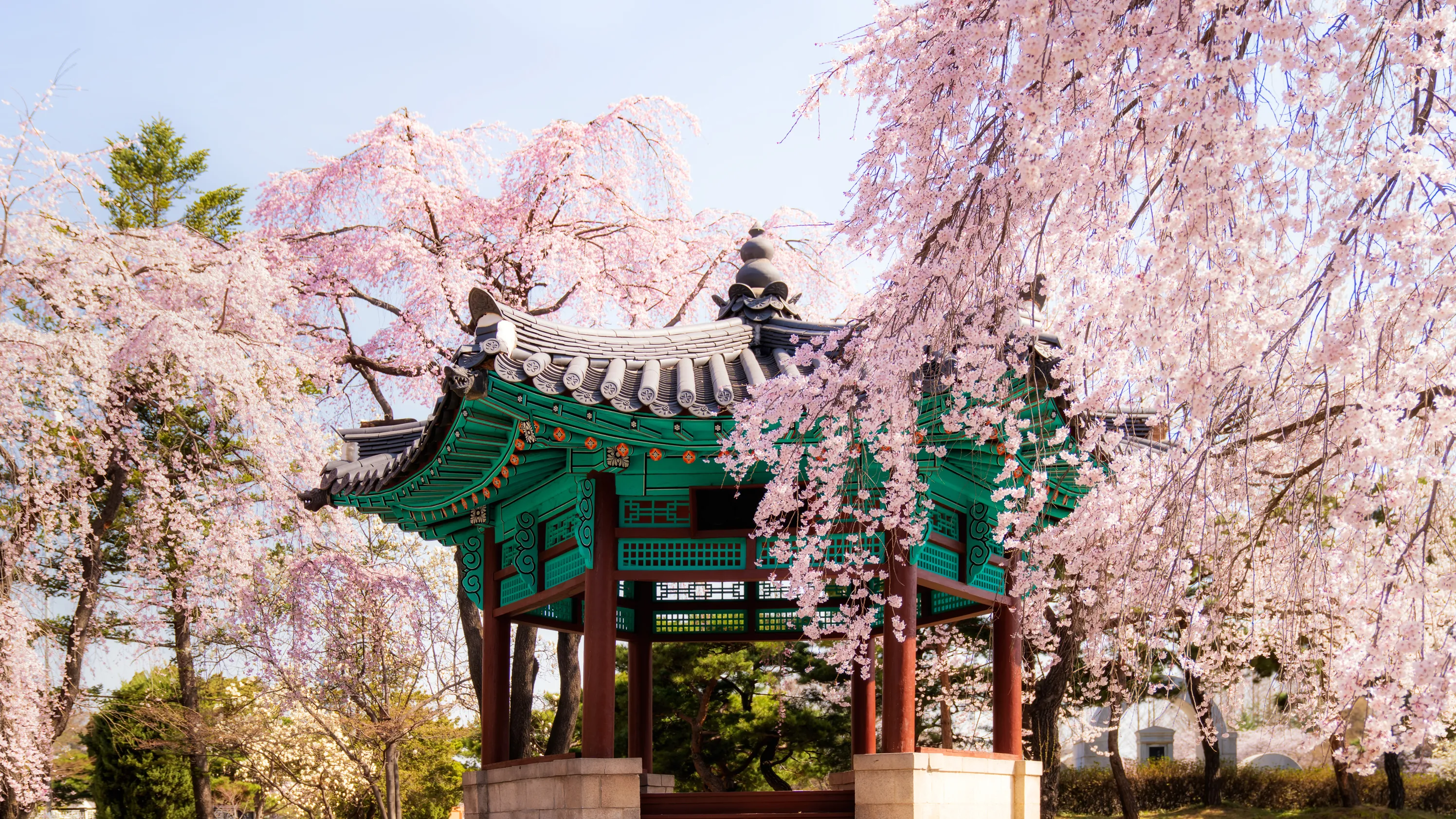 What is it like to Study Abroad in South Korea?